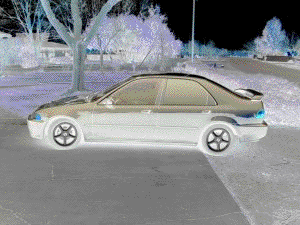 Bitmap Image